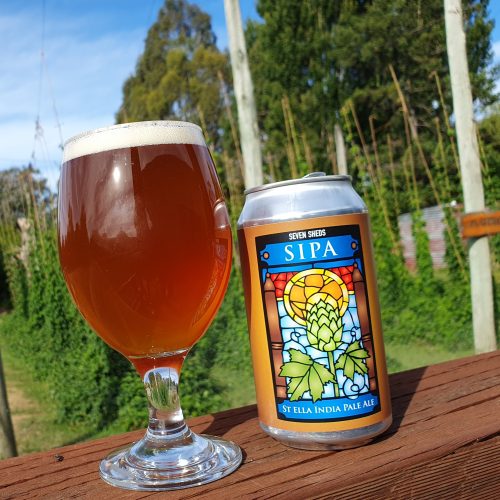 A glass of St Ella India Pale Ale next to the can it was poured from; hop garden background.