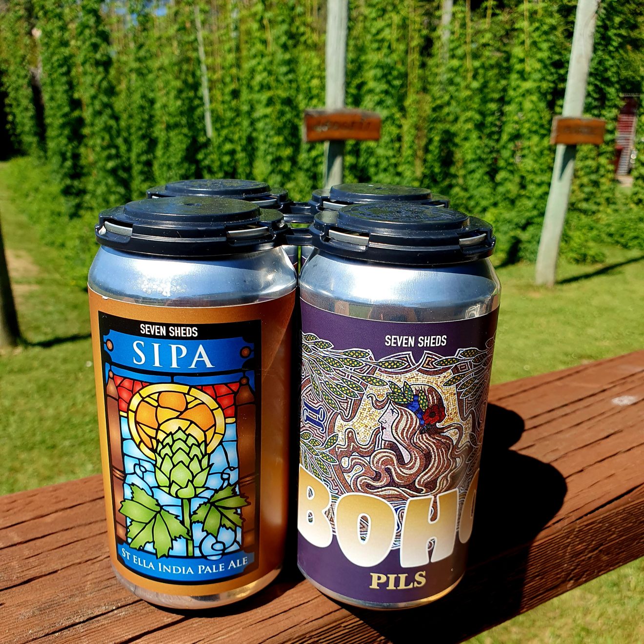 Seven Sheds St Ella India Pale Ale and Boho Pils cans in the foreground, Seven Sheds hop garden in the background.