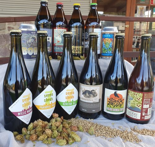 Twelve different beers in bottles and cans with decorative hops and grains.